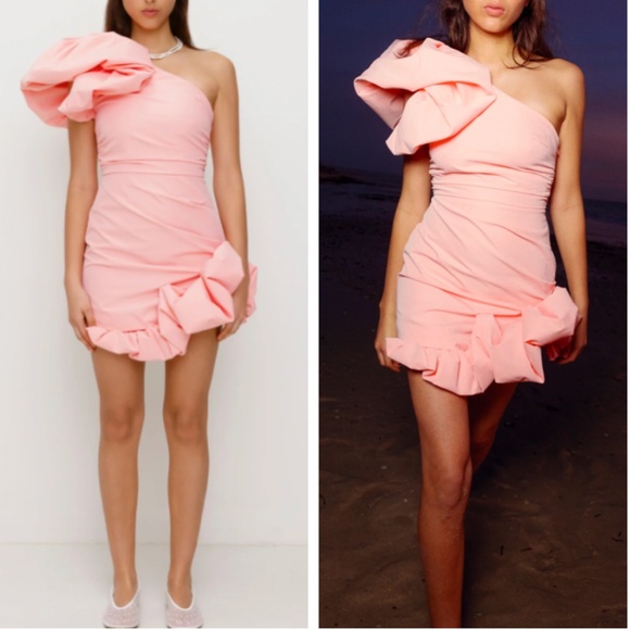 NEW The Wolf Gang Octavia Mini Dress - Salmon Pink Cocktail Party One Shoulder - Picture 1 of 15